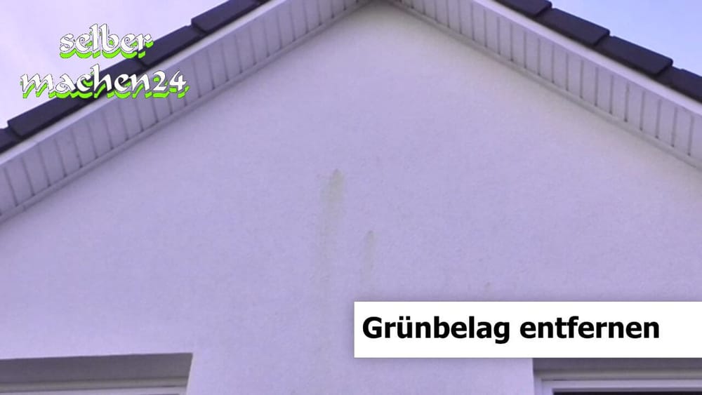 Grünbelag entfernen wieder einmal ganz easy